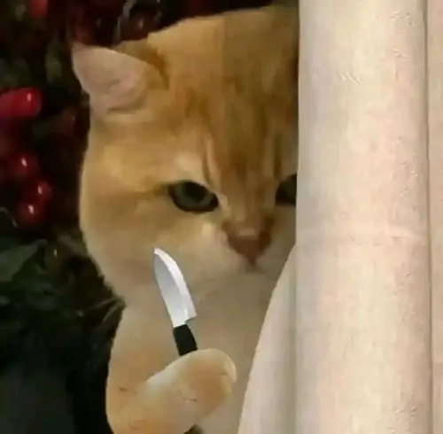 35 34