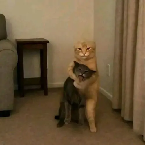 37 36