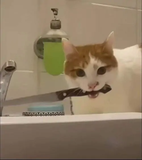 39 38