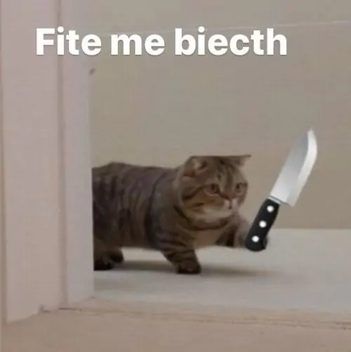 41 40