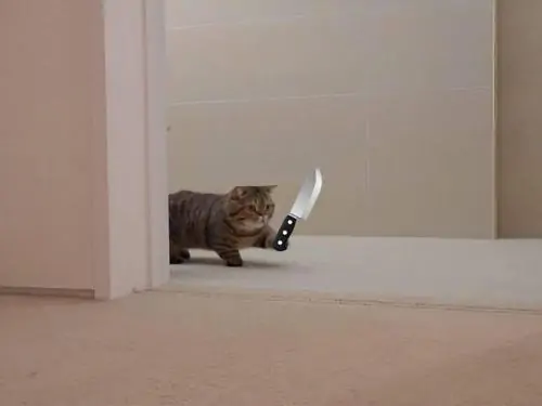 43 42
