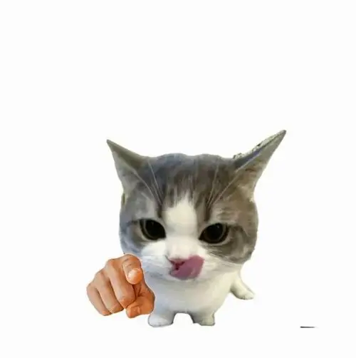43 42