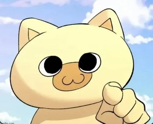 29 28