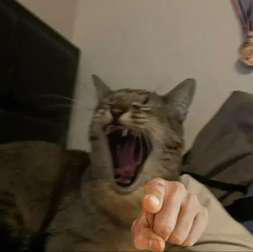 31 30