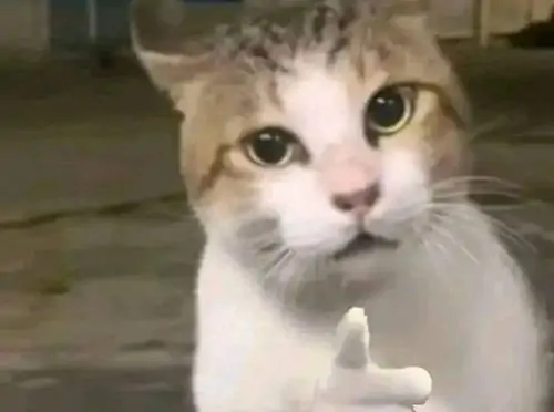 39 38