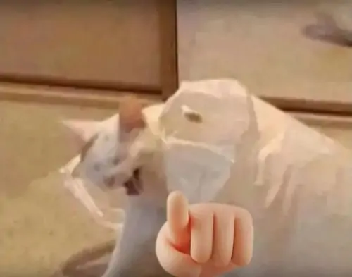 41 40