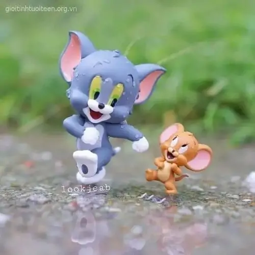 62 61