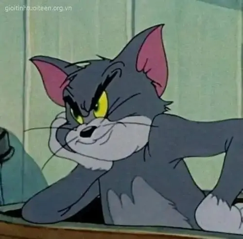 68 67