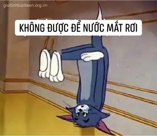 43 Cá vàng nhìn Tom qua mặt nước trong chiếc bát thủy tinh, ánh mắt nhân vật khiến cảnh yên tĩnh bỗng có chút nghi ngờ