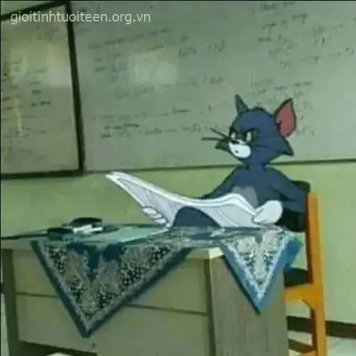 48 47
