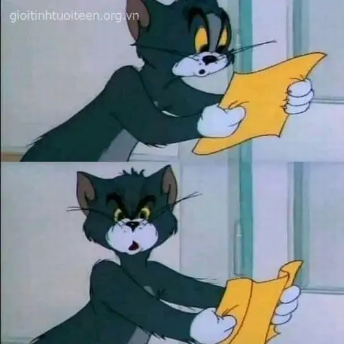 54 53