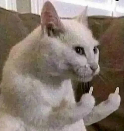 126 125
