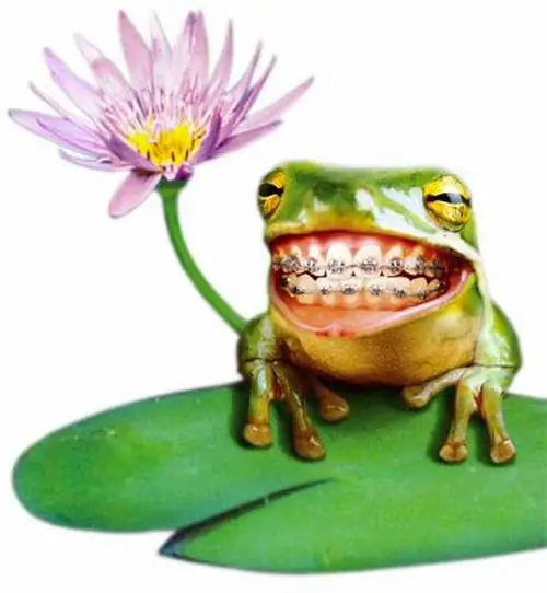 24 Bông hoa tím cạnh chú ếch cười khoe niềng răng làm khung hình duyên dáng, như màn tỏ tình vụng về nhưng vẫn rất tự tin
