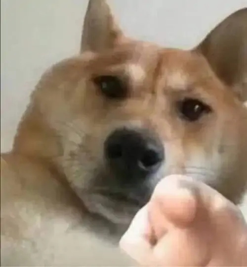 99 98