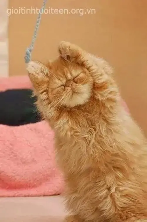 55 54