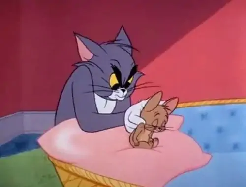 243 242