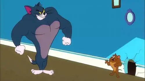 245 244