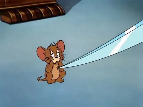 231 230