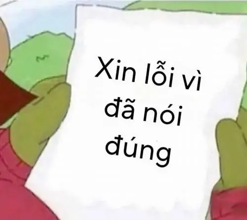 41 Ảnh hài hước nhận lỗi đặt chú mèo vào khung viền ảnh vuông, màu sắc tổng thể dịu làm cảm xúc hối cải bớt nặng