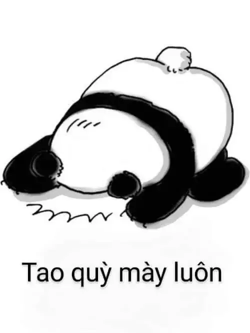 32 Gấu trúc nằm úp mặt sát đất trong khung trắng, câu tao quỳ mày luôn biến lời năn nỉ thành cảnh chịu thua