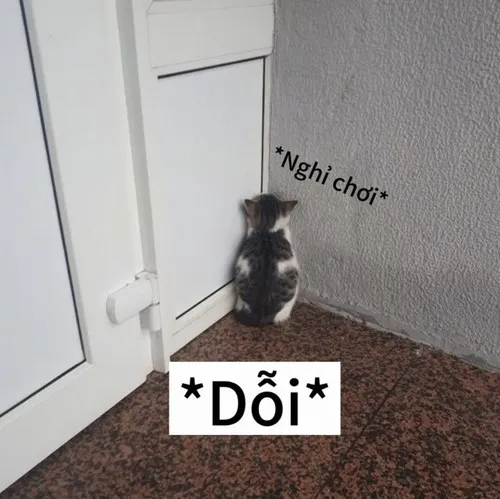 85 Ảnh Meme Dỗi Hờn, Giận Lẫy Đáng Yêu Gương Mặt Bí Xị Cho Bạn Troll Bạn Bè