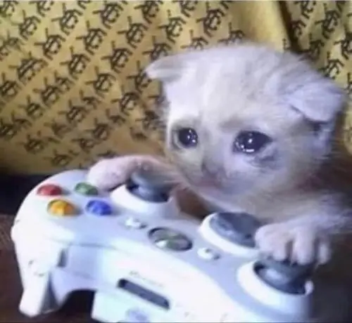 28 27