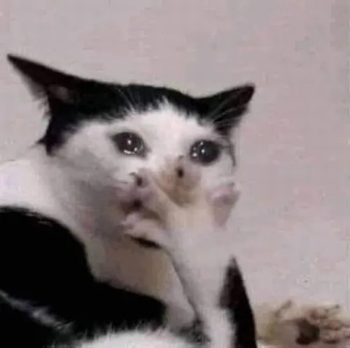 72 71