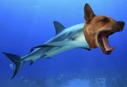 79 78