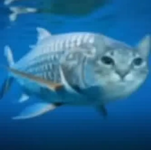 83 82