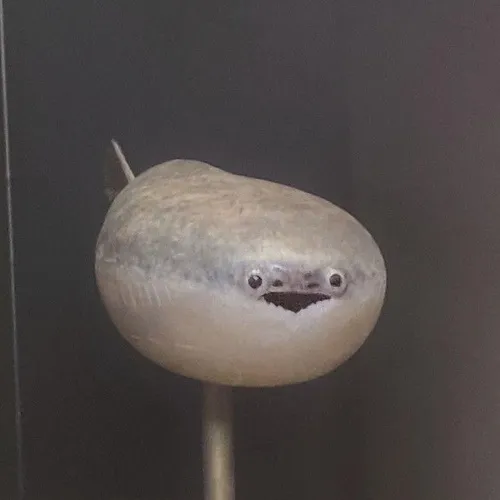 89 88