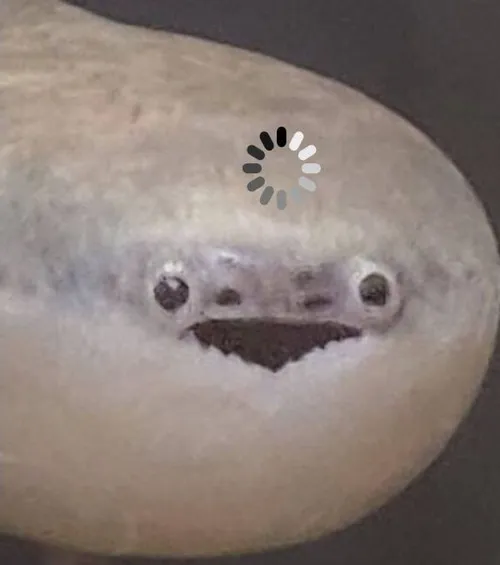 67 66