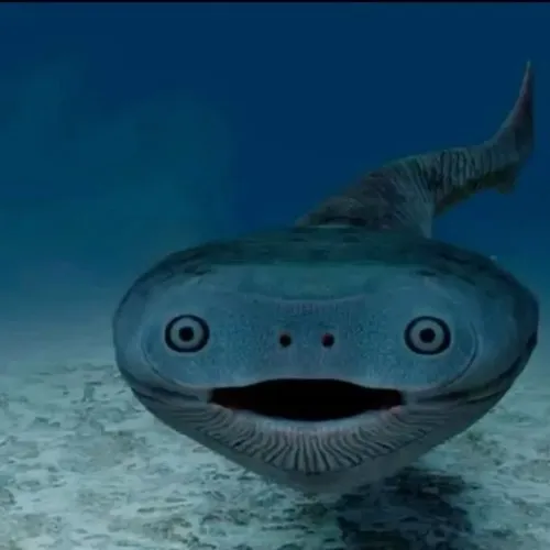 71 70