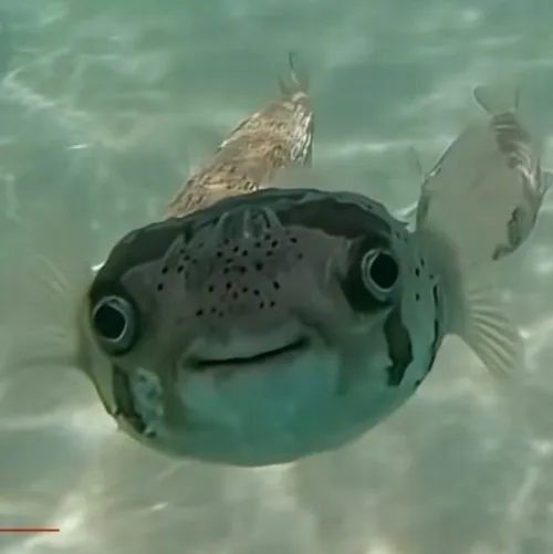 73 72