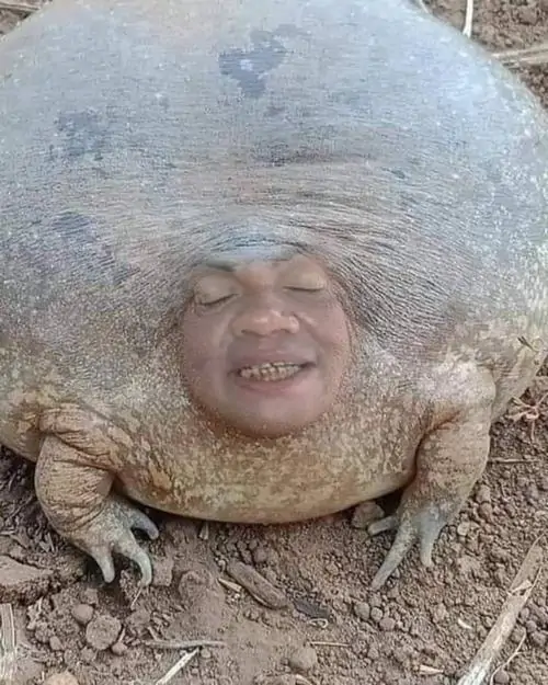 88 87