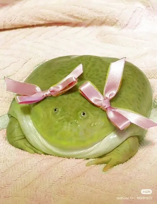 68 67