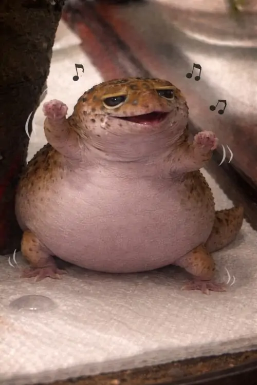76 75