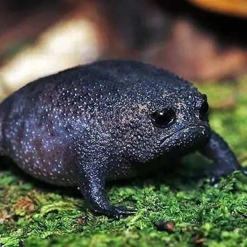 80 79