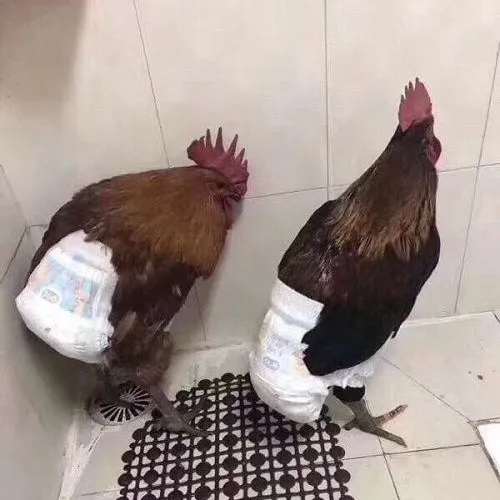 39 38