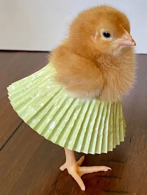 41 40