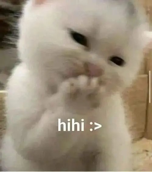 146 145