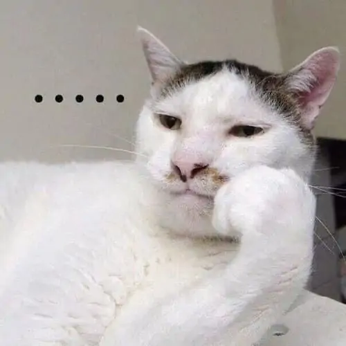 87 86