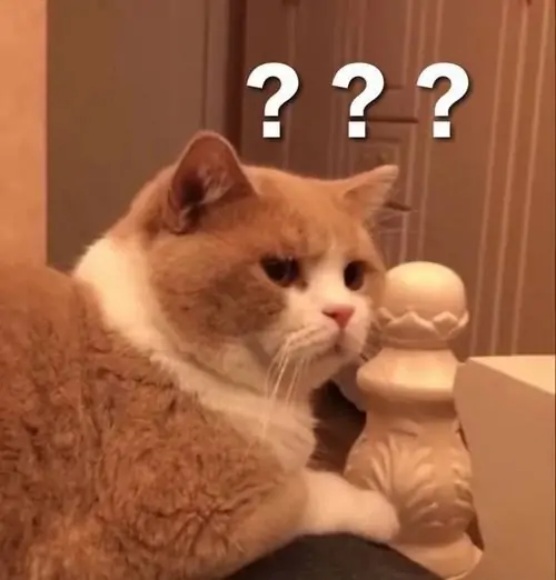 75 74
