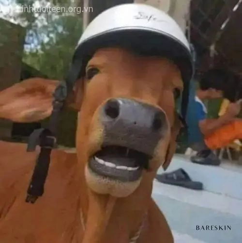 79 78
