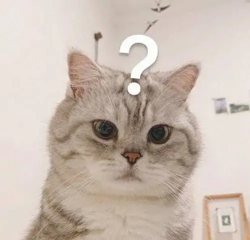 83 82