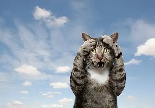 46 45