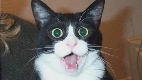 48 47