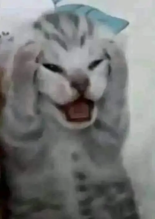 50 49