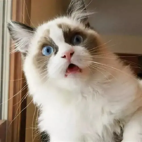 28 27
