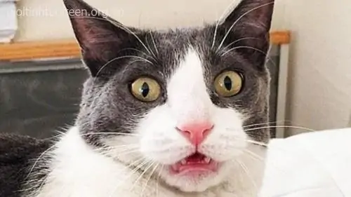 40 39