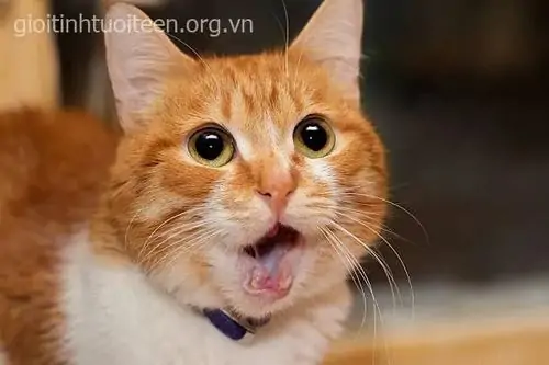 42 41